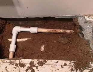 巴楚测漏水哪家好