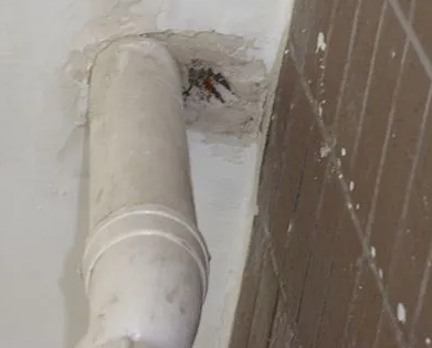 巴楚漏水检测哪家好